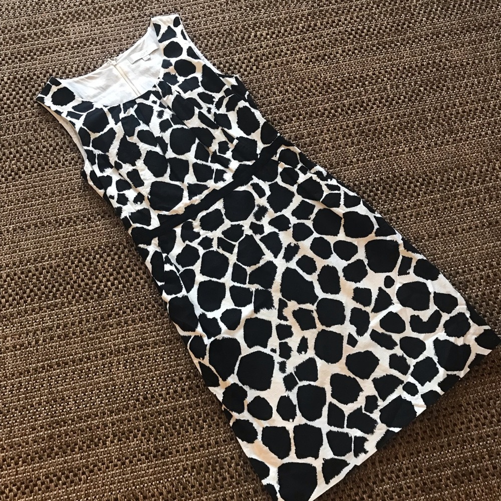 Ann taylor loft dress work lined perfect!!!